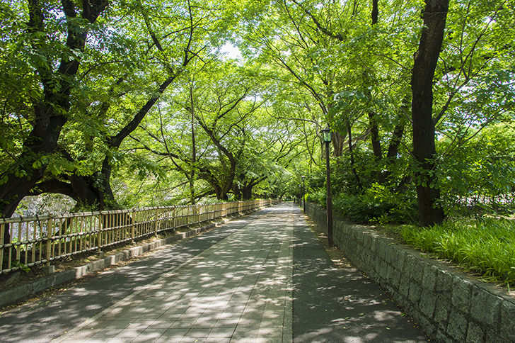 名古屋の公園